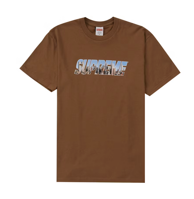 Supreme Gotham Tee Light Brown