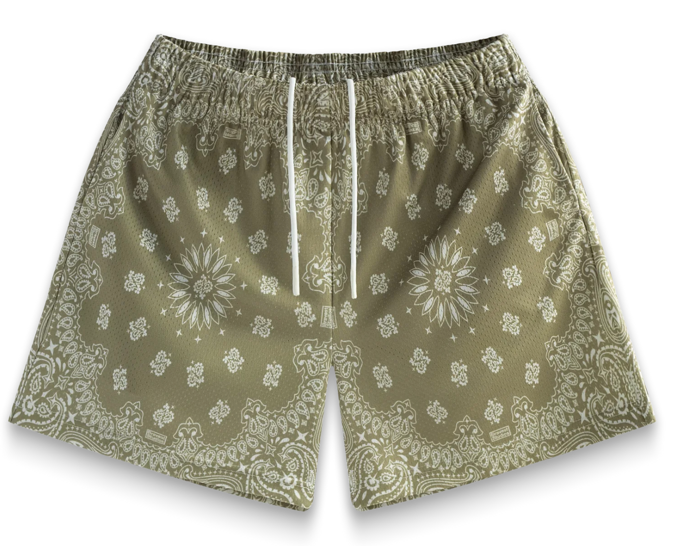 Bravest Studios Paisley Shorts Fossil