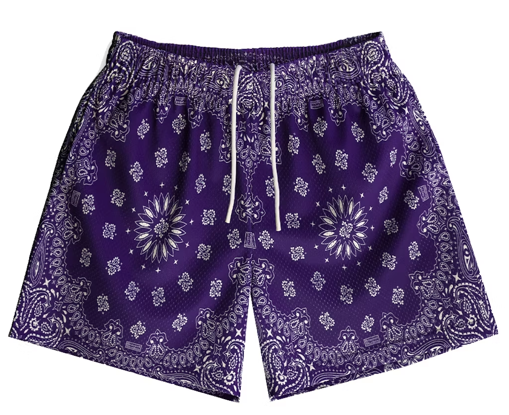 Bravest Studios Paisley Shorts Purple