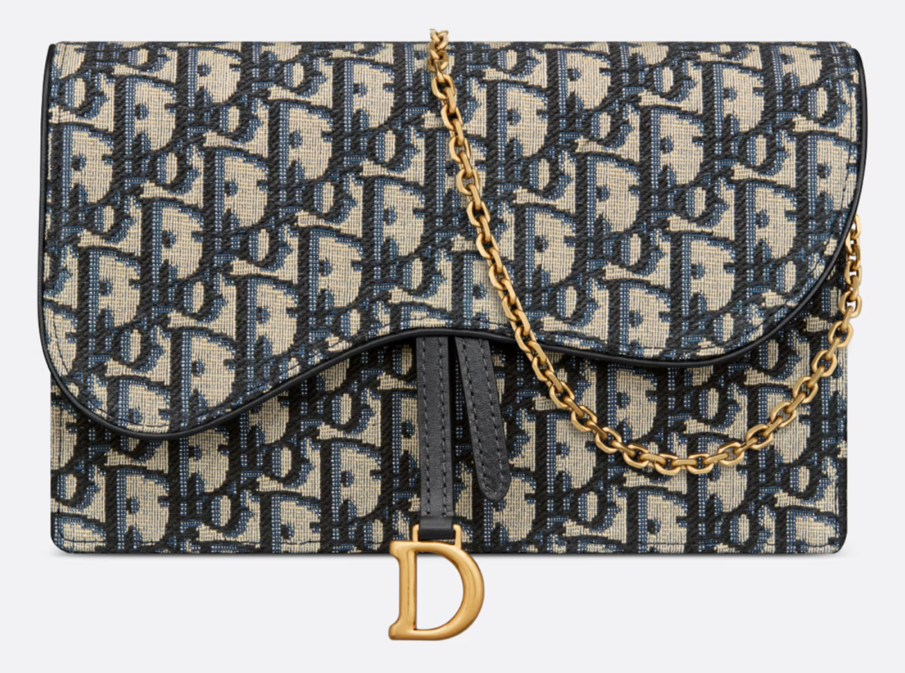 Dior Saddle Pouch